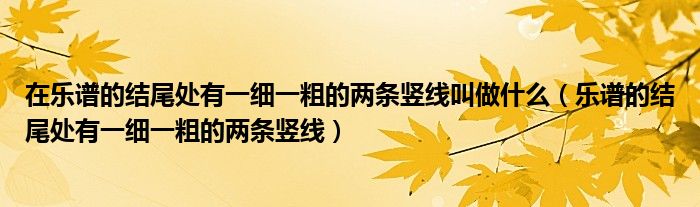 在乐谱的结尾处有一细一粗的两条竖线叫做什么（乐谱的结尾处有一细一粗的两条竖线）