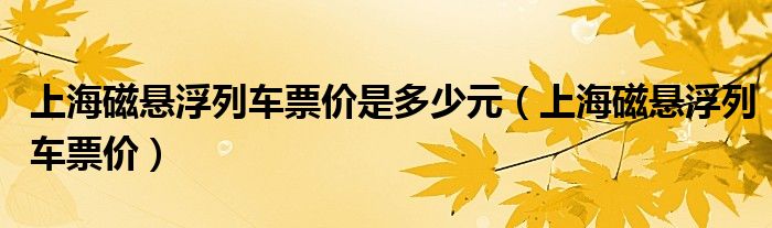 上海磁悬浮列车票价是多少元（上海磁悬浮列车票价）