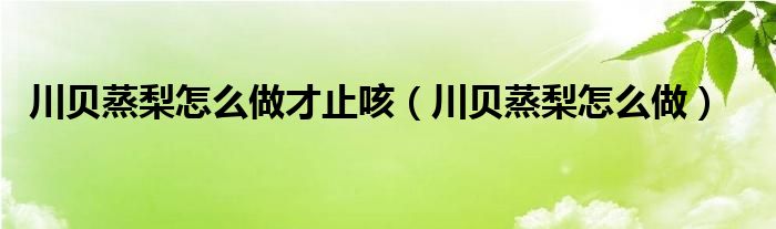 川贝蒸梨怎么做才止咳（川贝蒸梨怎么做）