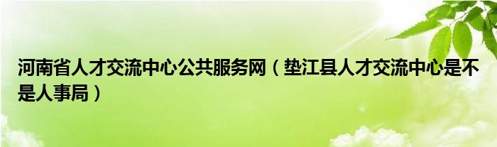 河南省人才交流中心公共服务网（垫江县人才交流中心是不是人事局）