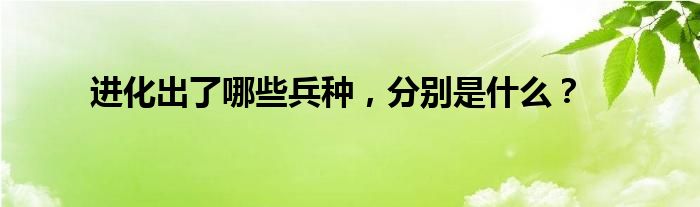 进化出了哪些兵种，分别是什么？