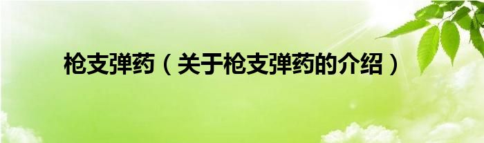 枪支弹药（关于枪支弹药的介绍）