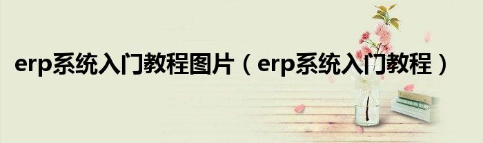 erp系统入门教程图片（erp系统入门教程）