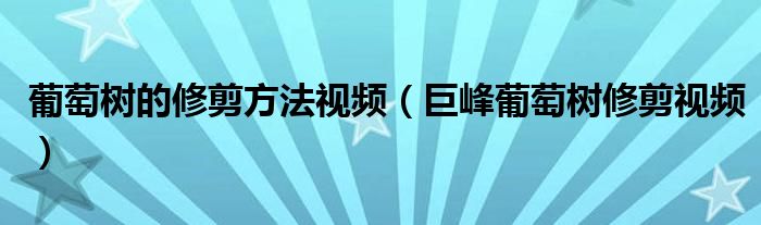 葡萄树的修剪方法视频（巨峰葡萄树修剪视频）