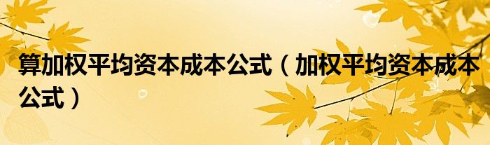 算加权平均资本成本公式（加权平均资本成本公式）