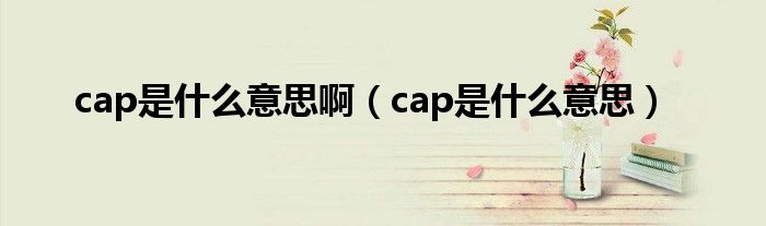 cap是什么意思啊（cap是什么意思）