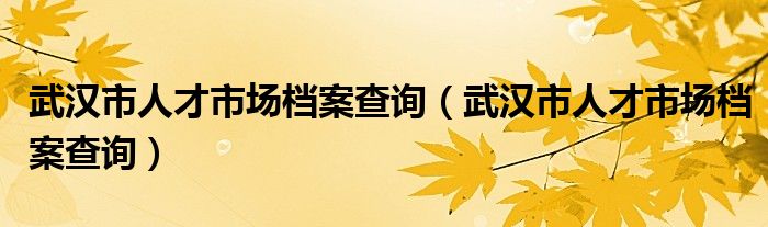 武汉市人才市场档案查询（武汉市人才市场档案查询）