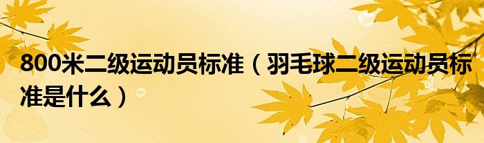 800米二级运动员标准（羽毛球二级运动员标准是什么）