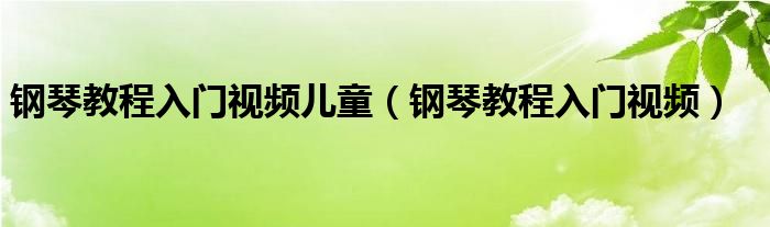 钢琴教程入门视频儿童（钢琴教程入门视频）