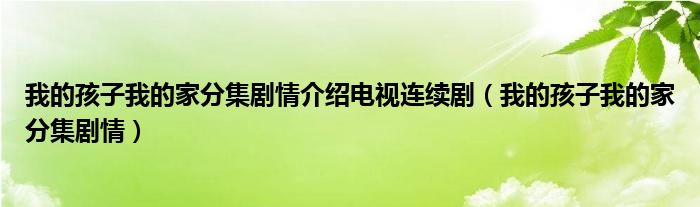 我的孩子我的家分集剧情介绍电视连续剧（我的孩子我的家分集剧情）