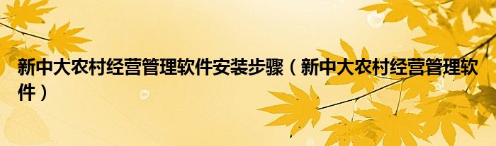 新中大农村经营管理软件安装步骤（新中大农村经营管理软件）