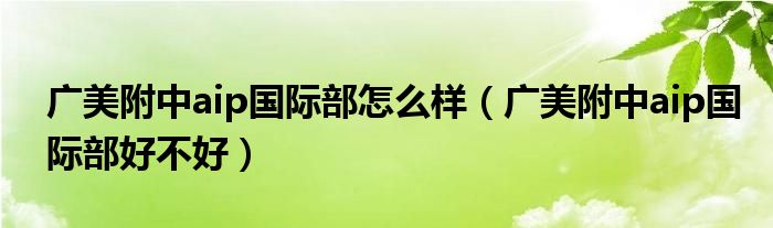 广美附中aip国际部怎么样（广美附中aip国际部好不好）