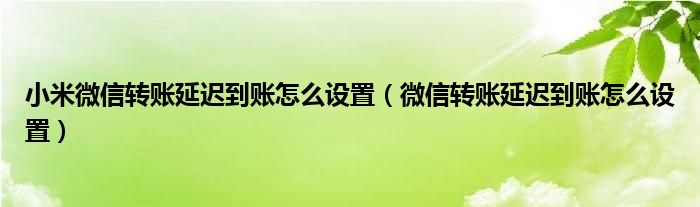 小米微信转账延迟到账怎么设置（微信转账延迟到账怎么设置）