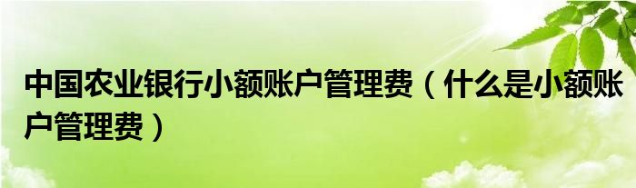 中国农业银行小额账户管理费（什么是小额账户管理费）