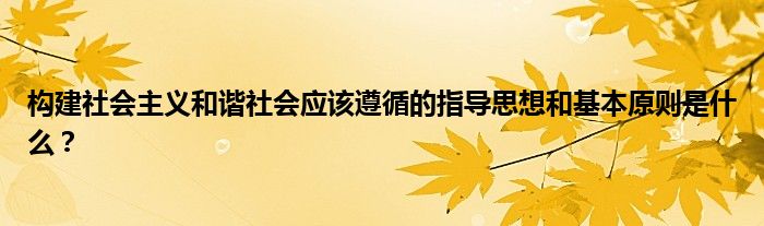 构建社会主义和谐社会应该遵循的指导思想和基本原则是什么？