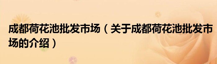 成都荷花池批发市场（关于成都荷花池批发市场的介绍）