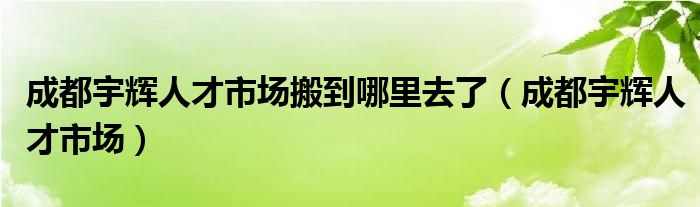 成都宇辉人才市场搬到哪里去了（成都宇辉人才市场）