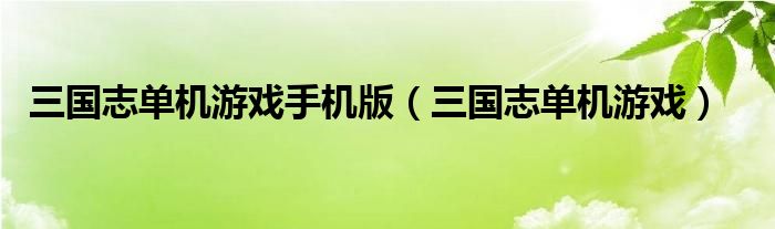 三国志单机游戏手机版（三国志单机游戏）