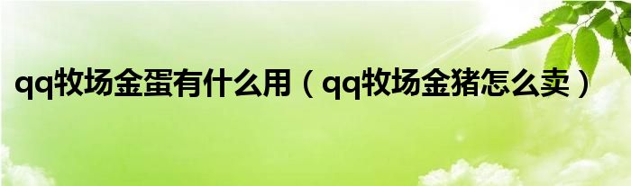 qq牧场金蛋有什么用（qq牧场金猪怎么卖）