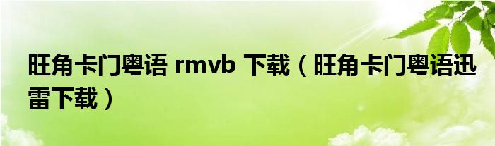 旺角卡门粤语 rmvb 下载（旺角卡门粤语迅雷下载）