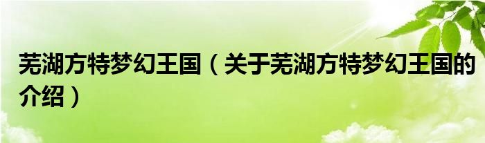 芜湖方特梦幻王国（关于芜湖方特梦幻王国的介绍）