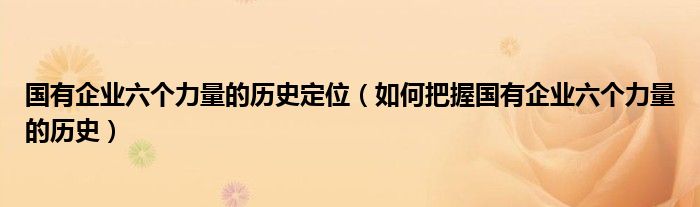 国有企业六个力量的历史定位（如何把握国有企业六个力量的历史）