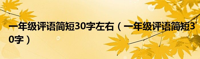 一年级评语简短30字左右（一年级评语简短30字）