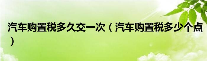 汽车购置税多久交一次（汽车购置税多少个点）