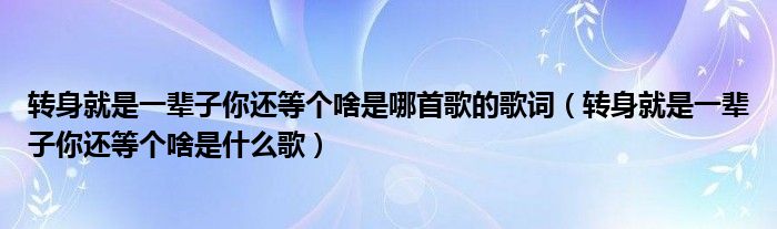 转身就是一辈子你还等个啥是哪首歌的歌词（转身就是一辈子你还等个啥是什么歌）