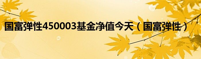 国富弹性450003基金净值今天（国富弹性）