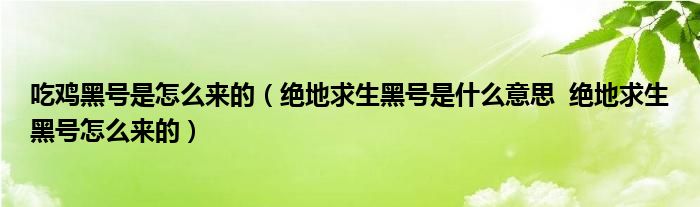 吃鸡黑号是怎么来的（绝地求生黑号是什么意思  绝地求生黑号怎么来的）