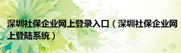 深圳社保企业网上登录入口（深圳社保企业网上登陆系统）