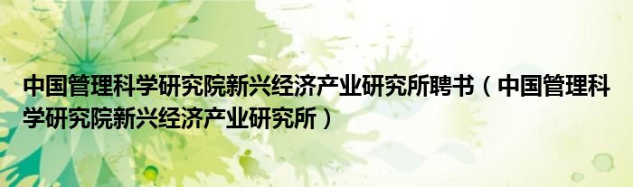 中国管理科学研究院新兴经济产业研究所聘书（中国管理科学研究院新兴经济产业研究所）