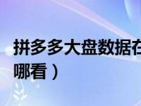 拼多多大盘数据在哪里看（拼多多大盘数据在哪看）