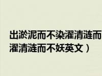 出淤泥而不染濯清涟而不妖英文翻译许渊冲（出淤泥而不染濯清涟而不妖英文）