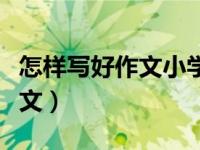 怎样写好作文小学三年级（怎样写好三年级作文）