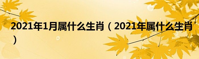 2021年1月属什么生肖（2021年属什么生肖）