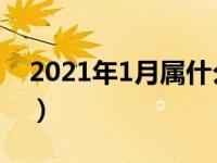 2021年1月属什么生肖（2021年属什么生肖）