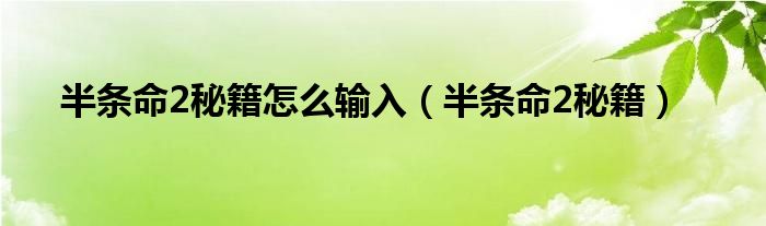 半条命2秘籍怎么输入（半条命2秘籍）