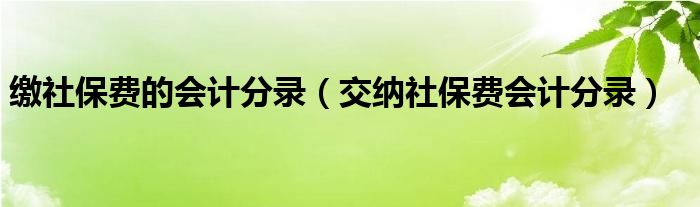 缴社保费的会计分录（交纳社保费会计分录）