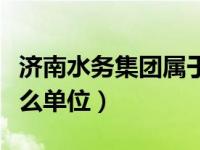 济南水务集团属于什么单位（水务集团属于什么单位）