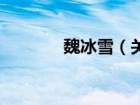 魏冰雪（关于魏冰雪的介绍）