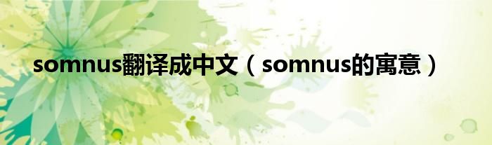 somnus翻译成中文（somnus的寓意）