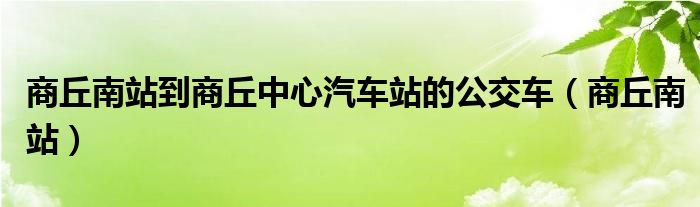 商丘南站到商丘中心汽车站的公交车（商丘南站）