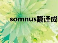 somnus翻译成中文（somnus的寓意）