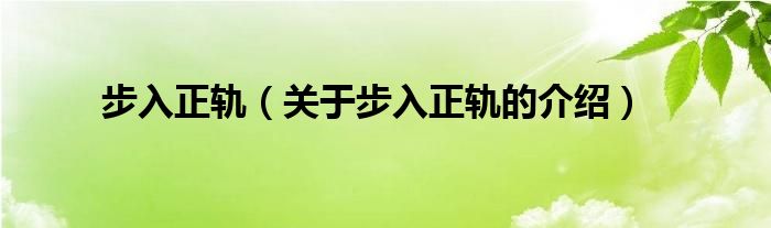 步入正轨（关于步入正轨的介绍）