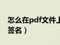 怎么在pdf文件上签名字（怎么在pdf文件上签名）