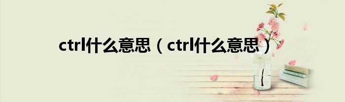 ctrl什么意思（ctrl什么意思）