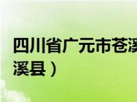 四川省广元市苍溪县高坡镇（四川省广元市苍溪县）