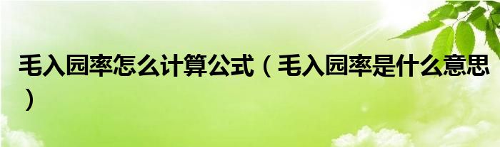 毛入园率怎么计算公式（毛入园率是什么意思）